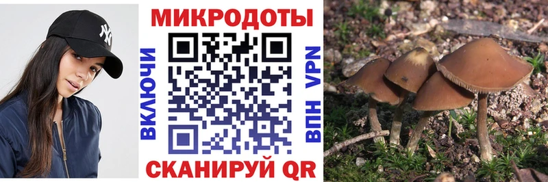 Псилоцибиновые грибы мицелий  Анива 